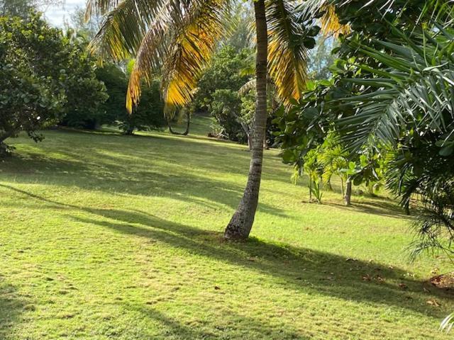 The Sunset Cove And Rainbow Room Alice Town  المظهر الخارجي الصورة