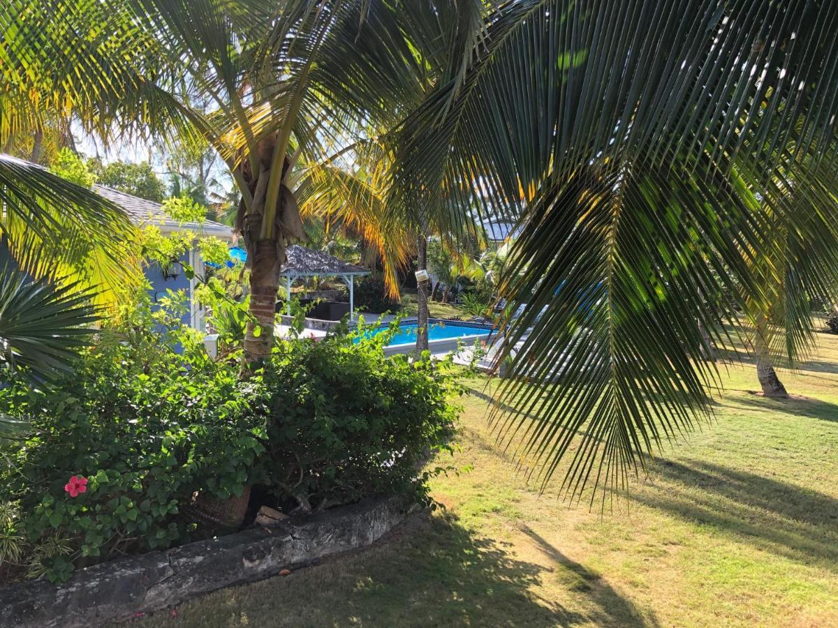 The Sunset Cove And Rainbow Room Alice Town  المظهر الخارجي الصورة